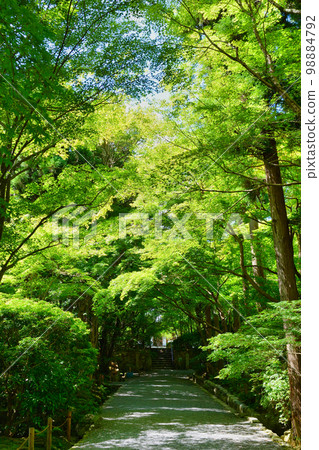 Kyoto Ryoan-ji Temple Kyoto Ryoan-ji Temple 98884792
