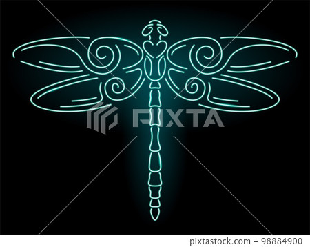 Line art with colorful blue neon shiny dragonfly Line art with colorful blue neon shiny dragonfly 98884900