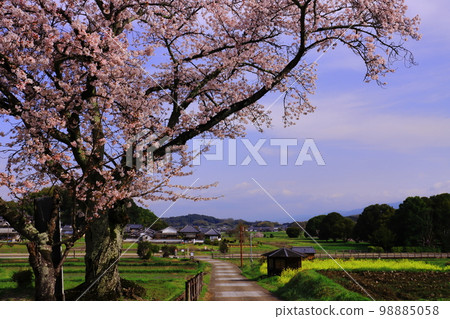 從立花寺(奈良縣明日香村)眺望河原寺(興福寺) 從立花寺(奈良縣明日香村)眺望河原寺(興福寺) 98885058