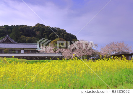 Tachibana Temple (Asuka Village, Nara Prefecture) Flower garden 98885062