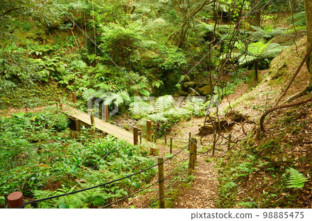 Japan Tokyo Hachijojima Uramigataki Falls 98885475