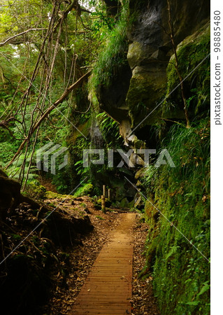 Japan Tokyo Hachijojima Uramigataki Falls 98885480