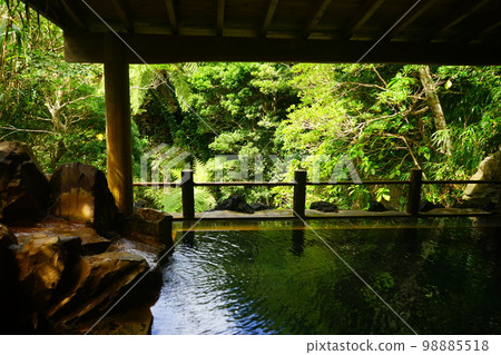 Japan Tokyo Hachijojima Uramigataki Onsen 98885518
