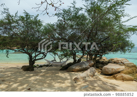 cradle on tree by sea beach at summer in Ko Man Klang, Rayong 98885852