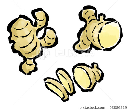 Ginger (whole, half, sliced, sliced) Brushed illustration set Ginger (whole, half, sliced, sliced) Brushed illustration set 98886219