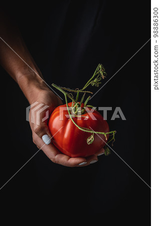 Red tomatoes in hands 98886300
