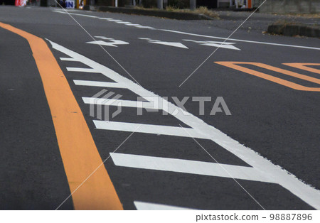 Zebra zone Tracheal zone 98887896