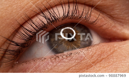 A woman's eye with long black eyelashes after lamination. Closeup opened girl's eye  with long black eyelashes. Close-up of the woman eye with long black lashes. 98887969