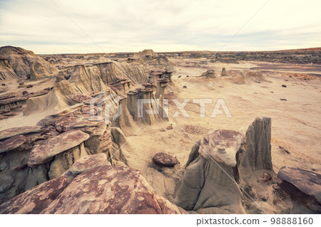 Bisti Bisti 98888160