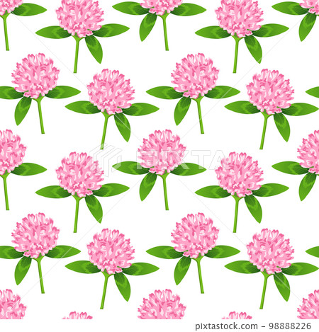 Seamless pattern, clover flowers with leaves, shamrock flowers. Floral background, textile, print, vector 98888226