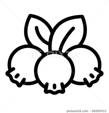 Mountain ash berry icon. Outline mountain ash berry vector icon for web design isolated on white background 98889433