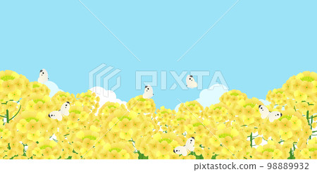 油菜花田背景素材 油菜花田背景素材 98889932