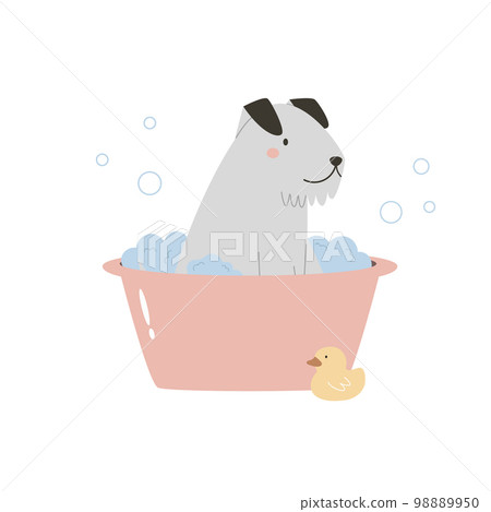 Cute terrier dog having a bath with a foam and bubbles. Vector illustration of a funny washing pet 98889950