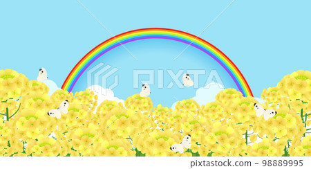 油菜花田背景素材 98889995