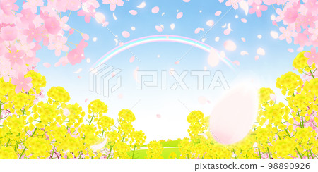 油菜花田和成排的櫻花樹背景素材 98890926