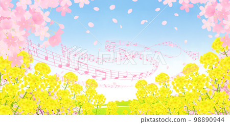 油菜花田和成排的櫻花樹背景素材 98890944
