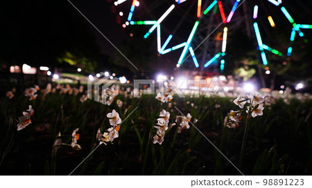 花與光的流動、大摩天輪與水仙花的合作令人印象深刻。 花與光的流動、大摩天輪與水仙花的合作令人印象深刻。 98891223