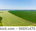 Beautiful wheat field green aerial view 98891470