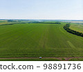 Beautiful wheat field green aerial view 98891736