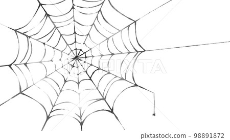 Spider web background line drawing monochrome - Stock Illustration ...