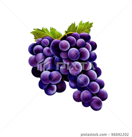 一串葡萄 一串葡萄 98892202