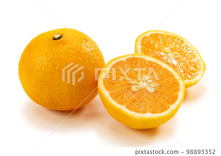 Haruhi, a new citrus variety 98893352
