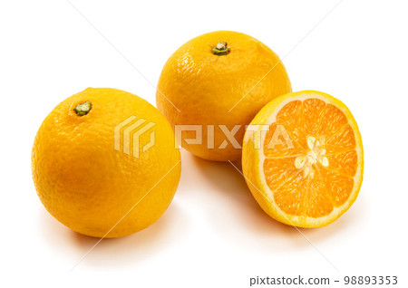 Haruhi, a new citrus variety 98893353