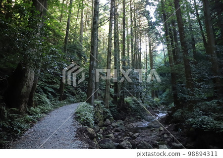 Danshin Waterfall 98894311