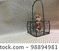 Herbarium and small basket 98894981