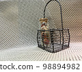 Herbarium and small basket 98894982
