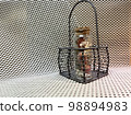 Herbarium and small basket 98894983