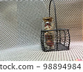 Herbarium and small basket 98894984