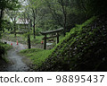 雨後弄濕的鳥居 98895437