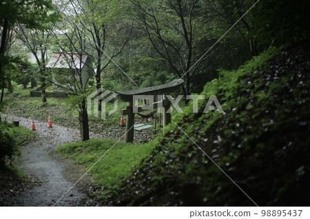 雨後弄濕的鳥居 雨後弄濕的鳥居 98895437