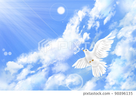 A white dove that receives light and flaps its wings in the blue sky 98896135