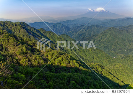 Mt. Fuji and the fresh green mountain range seen from the Tanzawa Mountains and the Hidomaru ridgeline 98897904
