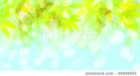 新綠色楓葉背景 新綠色楓葉背景 98898085