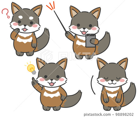 Gray fox Q&A 98898202