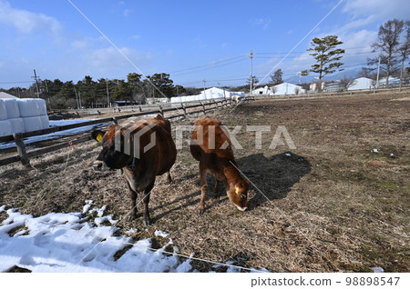 Yatsugatake Farm Yatsugatake Farm 98898547