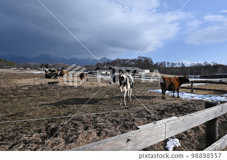 Yatsugatake Farm Yatsugatake Farm 98898557