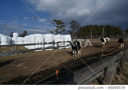 八岳農場 八岳農場 98898559