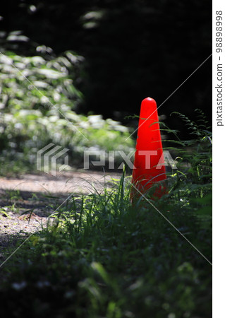鋪在山路上的路玉米【埼玉縣比岐郡嵐山溪谷】 鋪在山路上的路玉米【埼玉縣比岐郡嵐山溪谷】 98898998