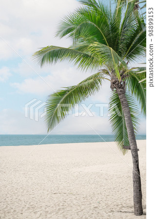 Summer beach background. White Sand and sea. Palm tree and amazing cloudy blue sky at tropical beach island in Indian Ocean. Summer beach background. White Sand and sea. Palm tree and amazing cloudy blue sky at tropical beach island in Indian Ocean. 98899153