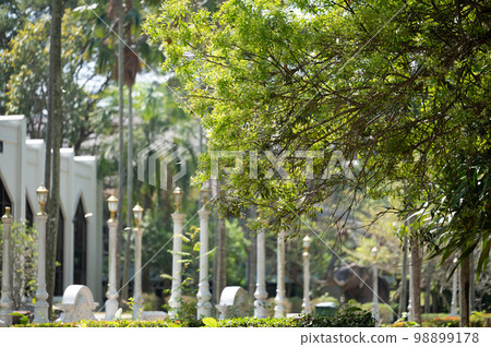 Abstract city park with warm lighting background. tropical vegetation greenery in park. Thailand Abstract city park with warm lighting background. tropical vegetation greenery in park. Thailand 98899178