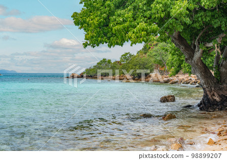 Landscape, sea, southeast asia. Beautiful landscape, Koh Larn island, Pattaya, Thailand. Landscape, sea, southeast asia. Beautiful landscape, Koh Larn island, Pattaya, Thailand. 98899207