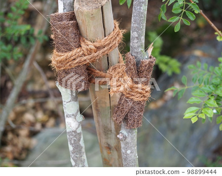 大括號 大括號 98899444