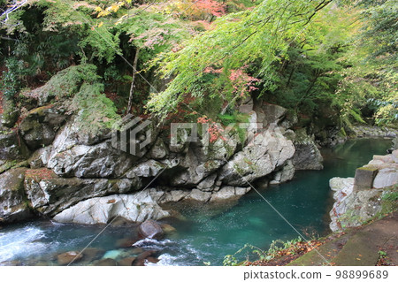 Sekokyo - Izu's premier firefly spot 98899689