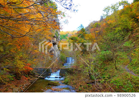 Omoshiroyama Momijigawa Valley Autumn Leaves Yellow Leaves Omoshiroyama Momijigawa Valley Autumn Leaves Yellow Leaves 98900526