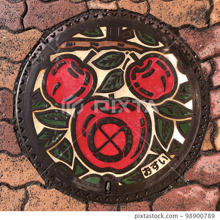 Color manhole cover [Iida City] 98900789