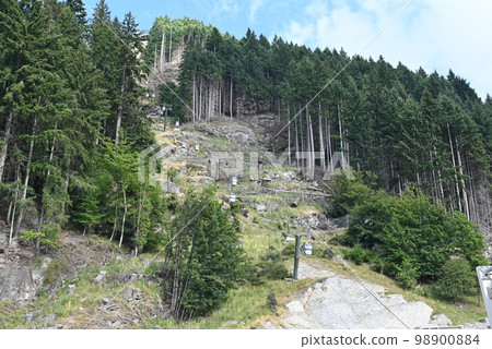 【新西蘭】Skyline Gondola Restaurant & Luge 98900884